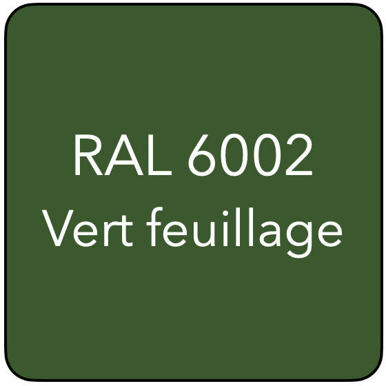 RAL 6002 TR VERT FEUILLAGE