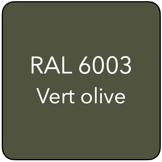 RAL 6003 TR VERT OLIVE