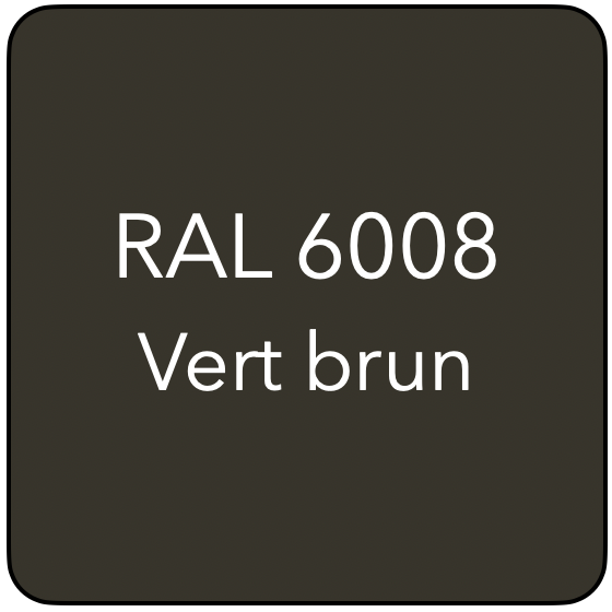 RAL 6008 TR VERT BRUN