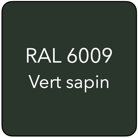 RAL 6009 TR VERT SAPIN