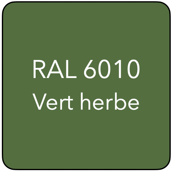 RAL 6010 TR VERT HERBE