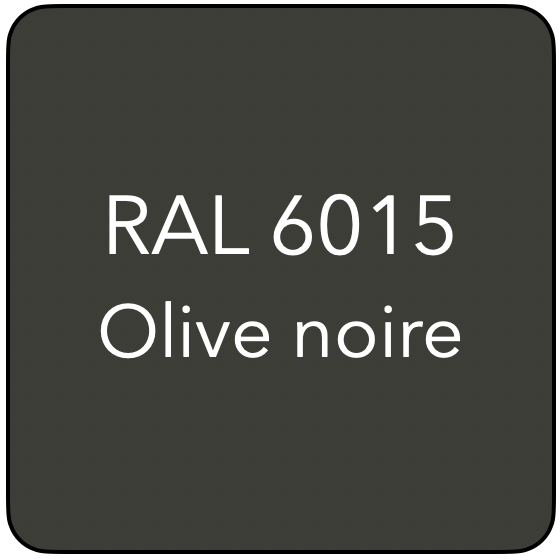 RAL 6015 TR OLIVE NOIR