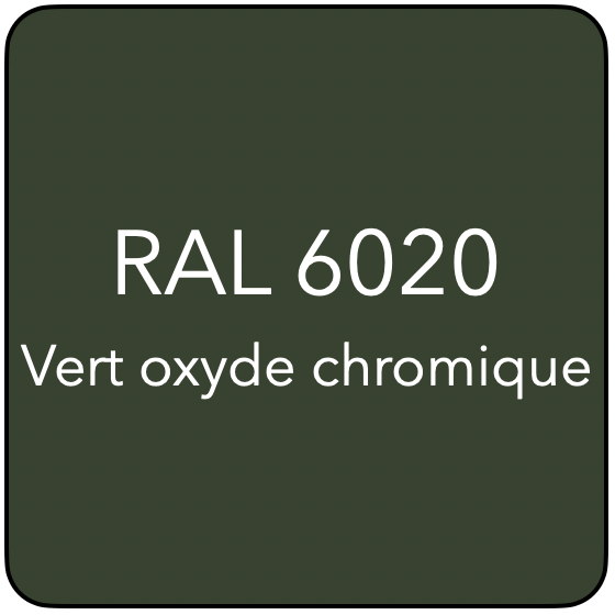RAL 6020 TR VERT OXYDE CHROMIQUE