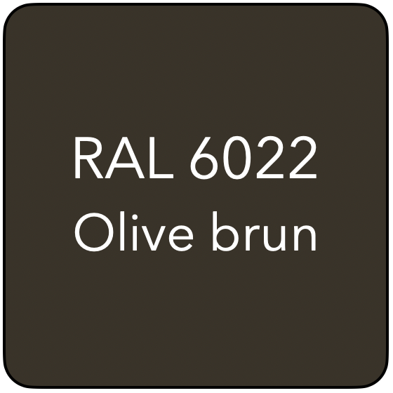 RAL 6022 TR OLIVE BRUN
