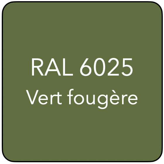 RAL 6025 TR VERT FOUGÈRE