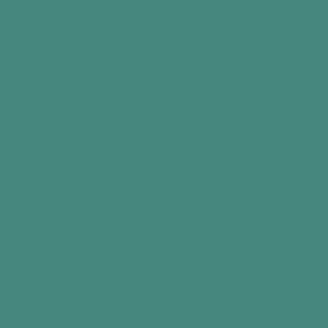 Turquoise menthe Ral 6033