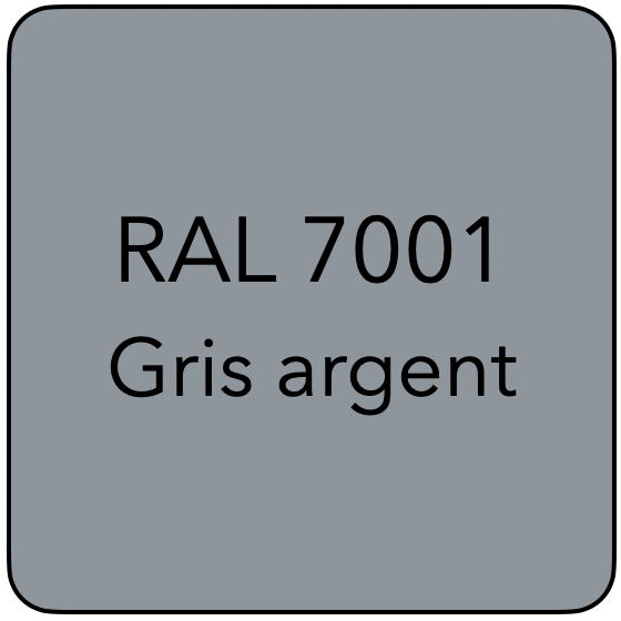 RAL 7001 BL GRIS ARGENT
