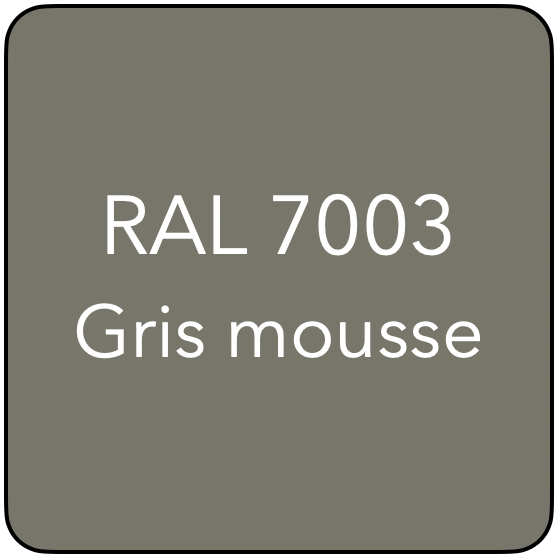 RAL 7003 TR GRIS MOUSSE