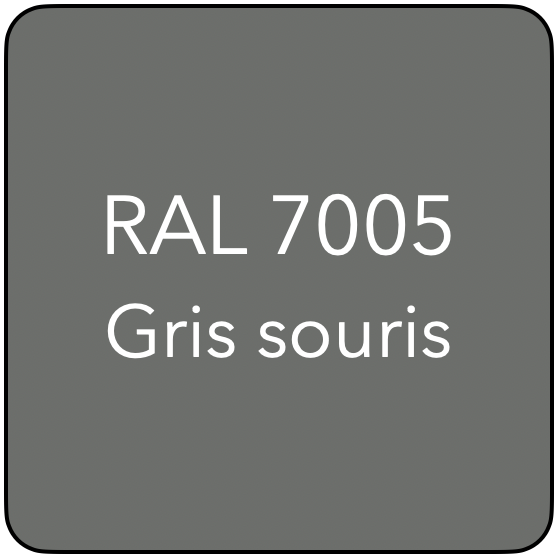 RAL 7005 TR GRIS SOURIS