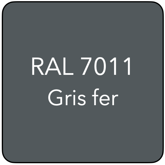 RAL 7011 TR GRIS FER