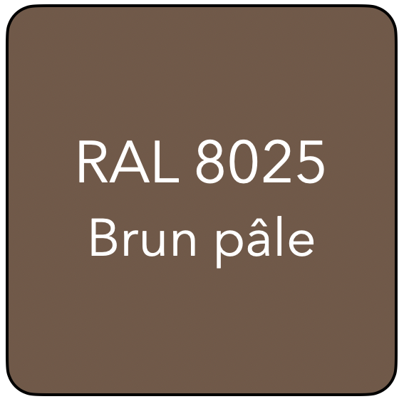 RAL 8025 TR BRUN PALE