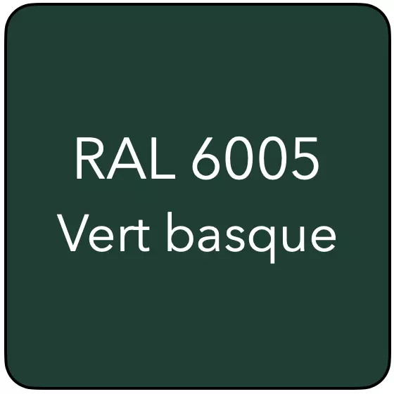RAL 6005 TR VERT BASQUE