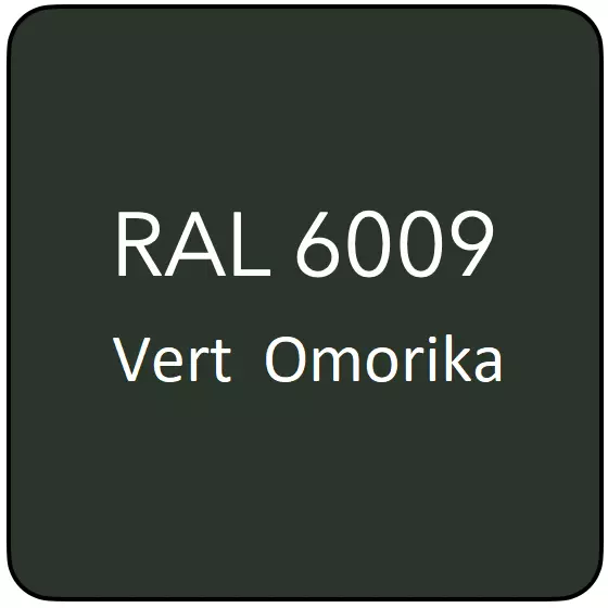 RAL 6009 TR VERT OMORIKA