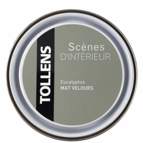 Peinture Murs et Boiseries Scènes d'Intérieur Tollens Mat Velours Eucalyptus 0.5L