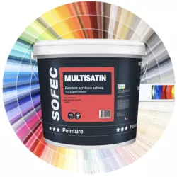 Peinture acrylique Multisatin Sofec 4L